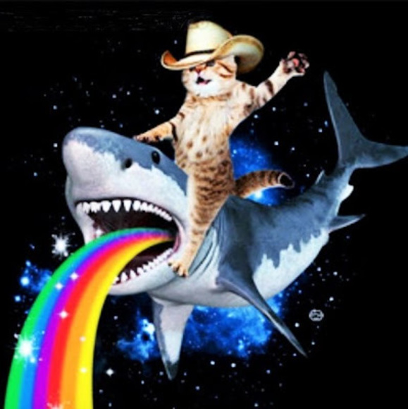 Meet your Posher, Gaby - Picture 1 of 1